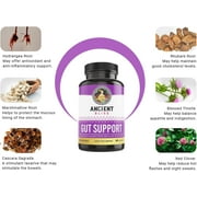 Ancient Bliss Leaky Gut Supplement, L Glutamine Capsules for Gut Support with Blessed Thistle and Hydrangea Root, and Non-GMO, 60 Capsules