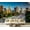 Color3, variant on Peel and Stick Wallpaper foliage fills hillsides Los Angeles springtime Modern Art Wall Mural Decor Self Adhesive and Removable 100in x 144in