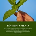 thumbnail image 4 of Shampoo Herbal Essences Detox Té Verde & Menta 600 ml, 4 of 5