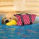 thumbnail image 4 of Chaleco salvavidas, abrigo de rescate para mascotas, ropa reflectante para perros al aire libre, traje de baño para mascotas, perro Wmkox8yii jkg2188, 4 of 8