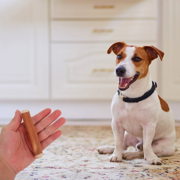 Masteelf Coffee Wood Dog Chew Stick Dogs Chew Toy Wooden Sticks Teeth Cleaning Stick Chew Sticks For Teething And Chewing