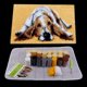 thumbnail image 1 of Cojín Alfombra tch Hook Kits 20x12 '' DIY lindo perro Hugo Carpet Latch Hooking Kits, 1 of 10