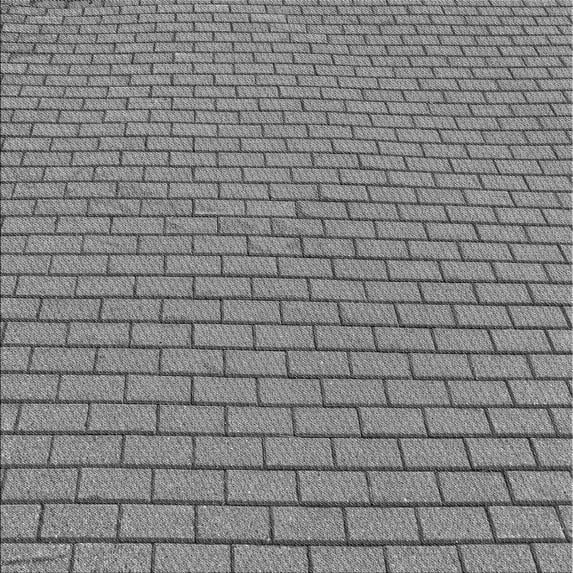 Ahgly Company Machine Washable Indoor Square Transitional Ash Gray Area Rugs, 8' Square