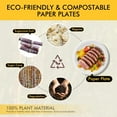 thumbnail image 3 of Compostable Paper Plates 6 Inch [300 Pack], Disposable Biodegradable Heavy Duty Paper Plates, Made of Natural Sugarcane Fibers, Unbleached White, Round, 3 of 8