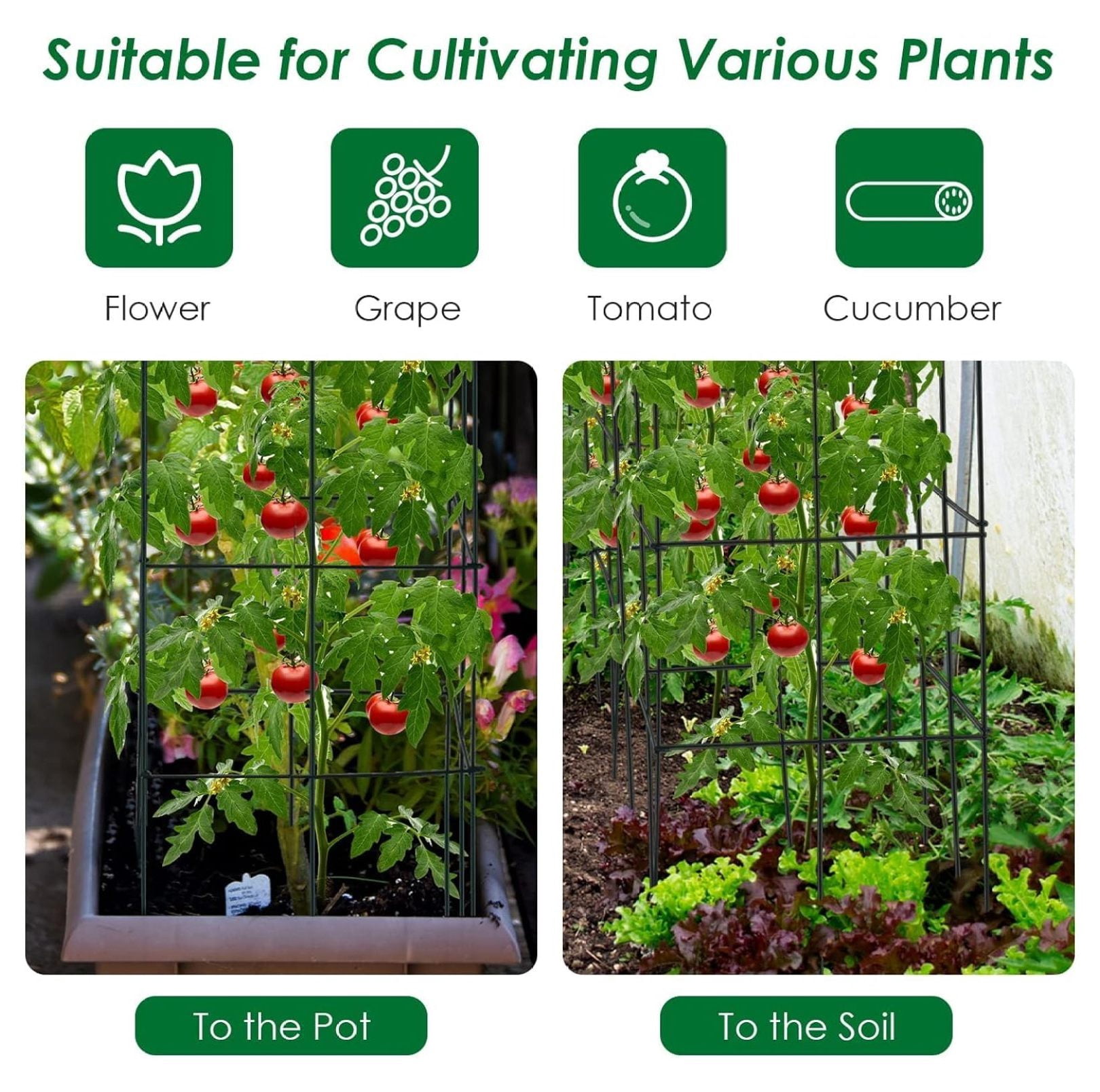 Gexandy 4 Pack Folding Tomato Cages, 39 Inches Tall Square Plant Support Cage for Garden Climbing Plants Flowers Fruits, Heavy Duty Tomato Vegetable Trellis