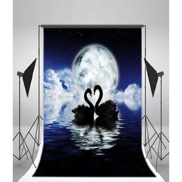 Telón de fondo 150x220cm ABPHQTO Cisne negro Fotografía Nube de baja prioridad y Luna Escena de agua nocturna