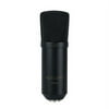 Nady SCM-800 Large Diaphragm Condenser Microphone Studio quality, great for vocals, acoustic instruments, recording, podcasting, and more!