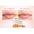 thumbnail image 5 of AMVital Turmeric Lip Balm 2 Pack with Jojoba Oil & Shea Butter Moisturizing Lip Care 0.16 oz Each, 5 of 8