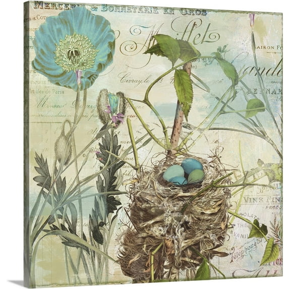 Great BIG Canvas | "Nesting II" Canvas Wall Art - 20x20