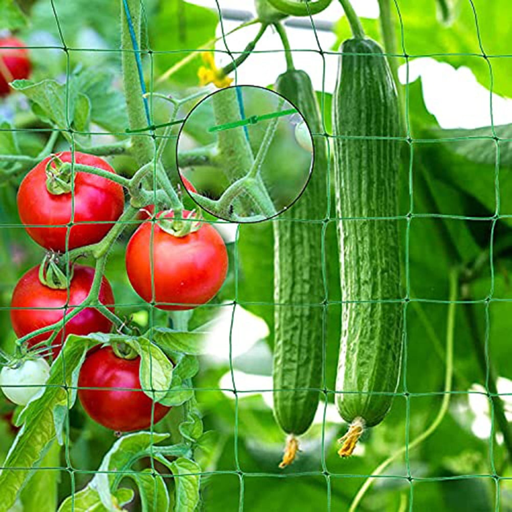 SPRING Robust Nylon Trellis Netting For Climbing Plants Perfect For Garden Spaces