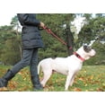thumbnail image 2 of LAICAIW Rope Dog Leash 5 FT with Comfortable Padded Handle, Highly Reflective Threads Dog Leash for Large Dogs, 1/2 inch, Pink, 2 of 7