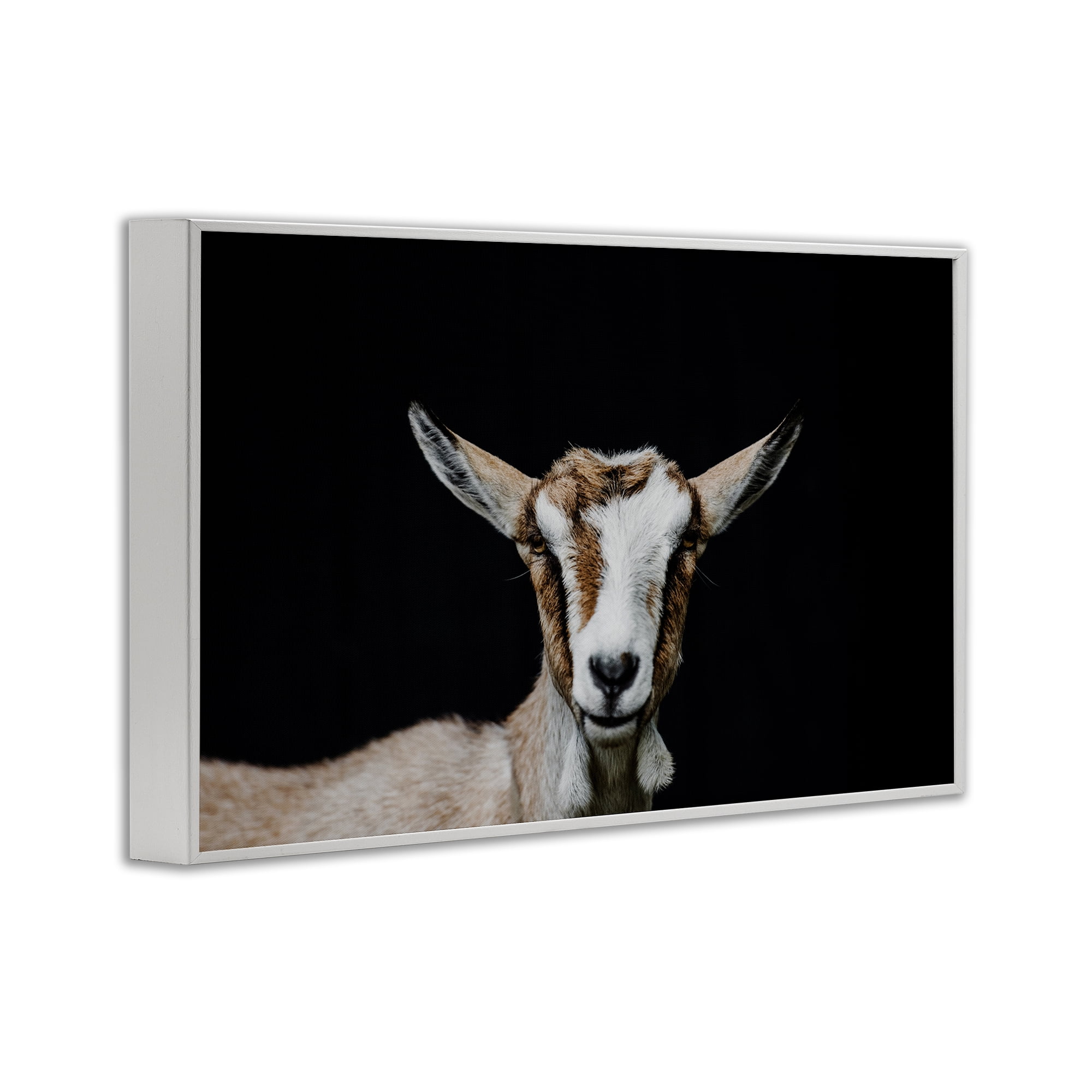 Goat Face over Black White Framed Giclee Art, design by Amy Carroll
