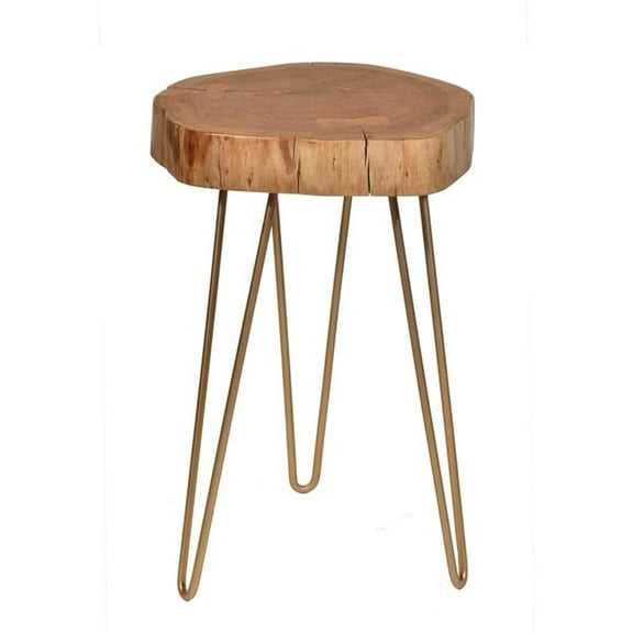 Pemberly Row Contemporary Live Edge Accent Table Top in Gold