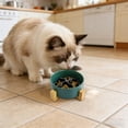 thumbnail image 3 of Slow Feeder Dog Bowl Anti Gulping Dog Slow Feeder Bowl for Healthy Eating, Non-Slip Interactive Dog Bowl Bloat Stop Slow Eating Dog Bowl for Small Medium Dogs & Cats 4.72 in, 3 of 7