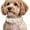 A, variant on Pet Collar Elegant Pearl Collar and Sparkling Cat Necklace Jewelry for Teacup Puppies and Small