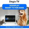 thumbnail image 4 of DOGSPLAY Smart TV, 4 of 9