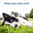 thumbnail image 2 of Cool Pet Pad - Large, Sage Grey - Self-Cooling, Pressure Activated Mat for Dogs & Cats from 46-80 lbs - Non-Toxic Gel, No Water Needed, 2 of 5