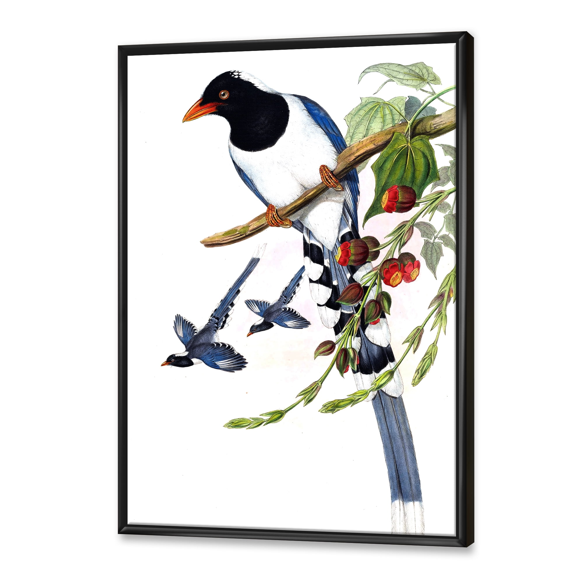 Designart 'Vintage Countryside Birds On Branch IV' Farmhouse Framed Canvas Wall Art Print