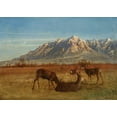 thumbnail image 2 of Bierstadt, Albert 24x18 Black Ornate Wood Framed with Double Matting Museum Art Print Titled - Deer in Mountain Home, 2 of 4