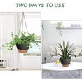thumbnail image 4 of Hanging Planters for Indoor Outdoor Plants, 2 Pack Self Watering Hanging Pot with Drainage Holes & Removable Tray (Black, 8''), 4 of 6