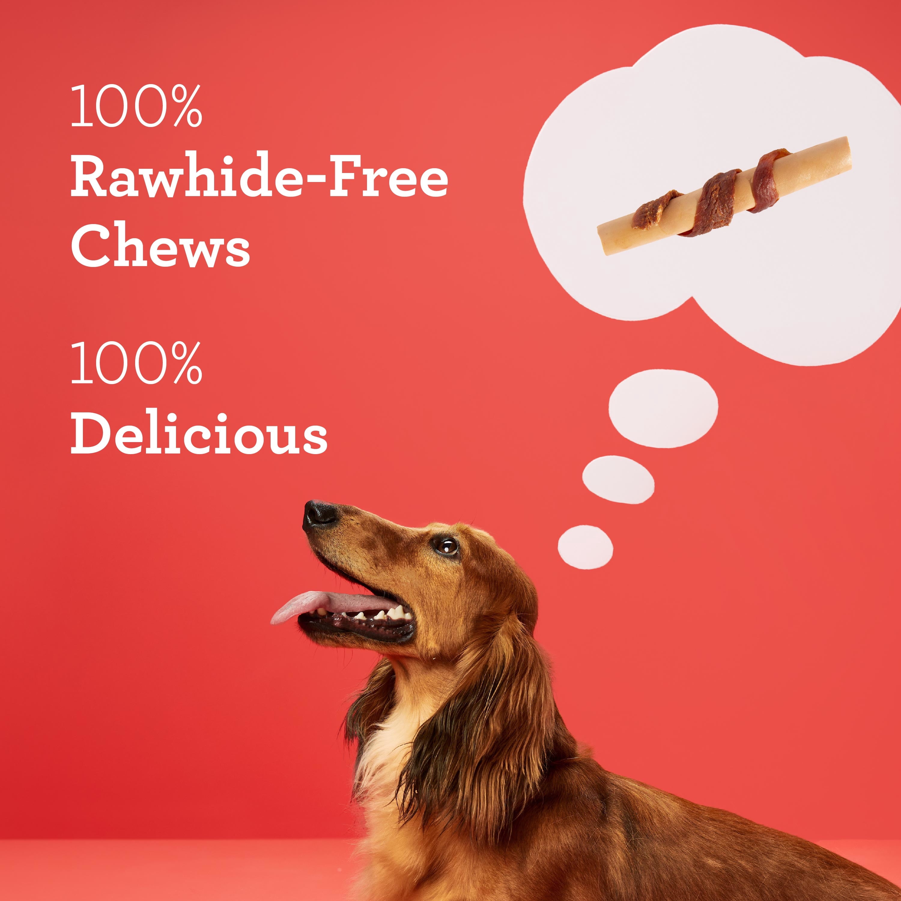 DreamBone Sticks Wrapped with Real Chicken, Rawhide-Free Chews for Dogs, 16 Count