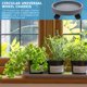 thumbnail image 4 of IDEANATEGRATE Para Plantas Con Y Base De Plástico Resistente Para Jardín Y Hogar, 4 of 6