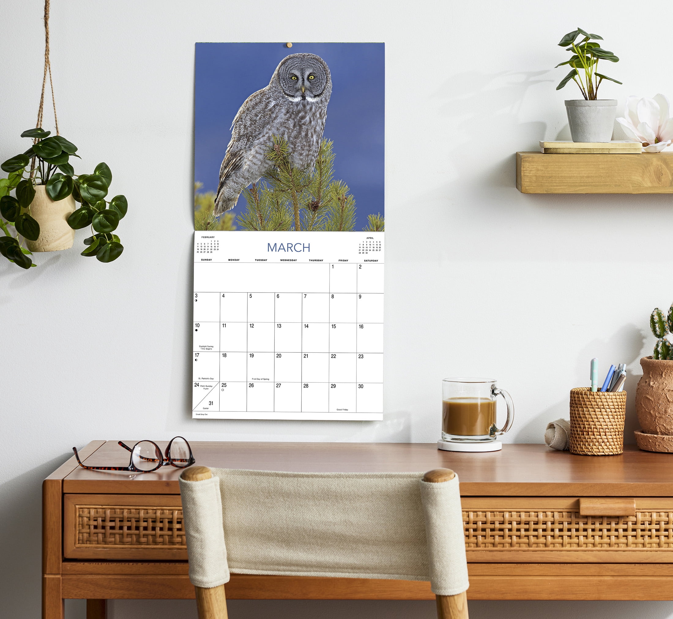 2024- 12 Month Calendar- Owl-12x12 by DaySpring