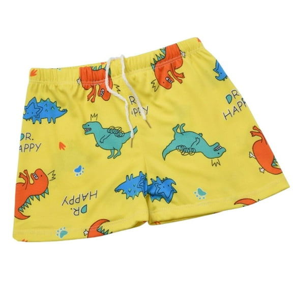 Hiijoy Swim Trunks for Boys Cartoon Dinosaur Quick-Dry Swimming Shorts UPF50  Swimwear