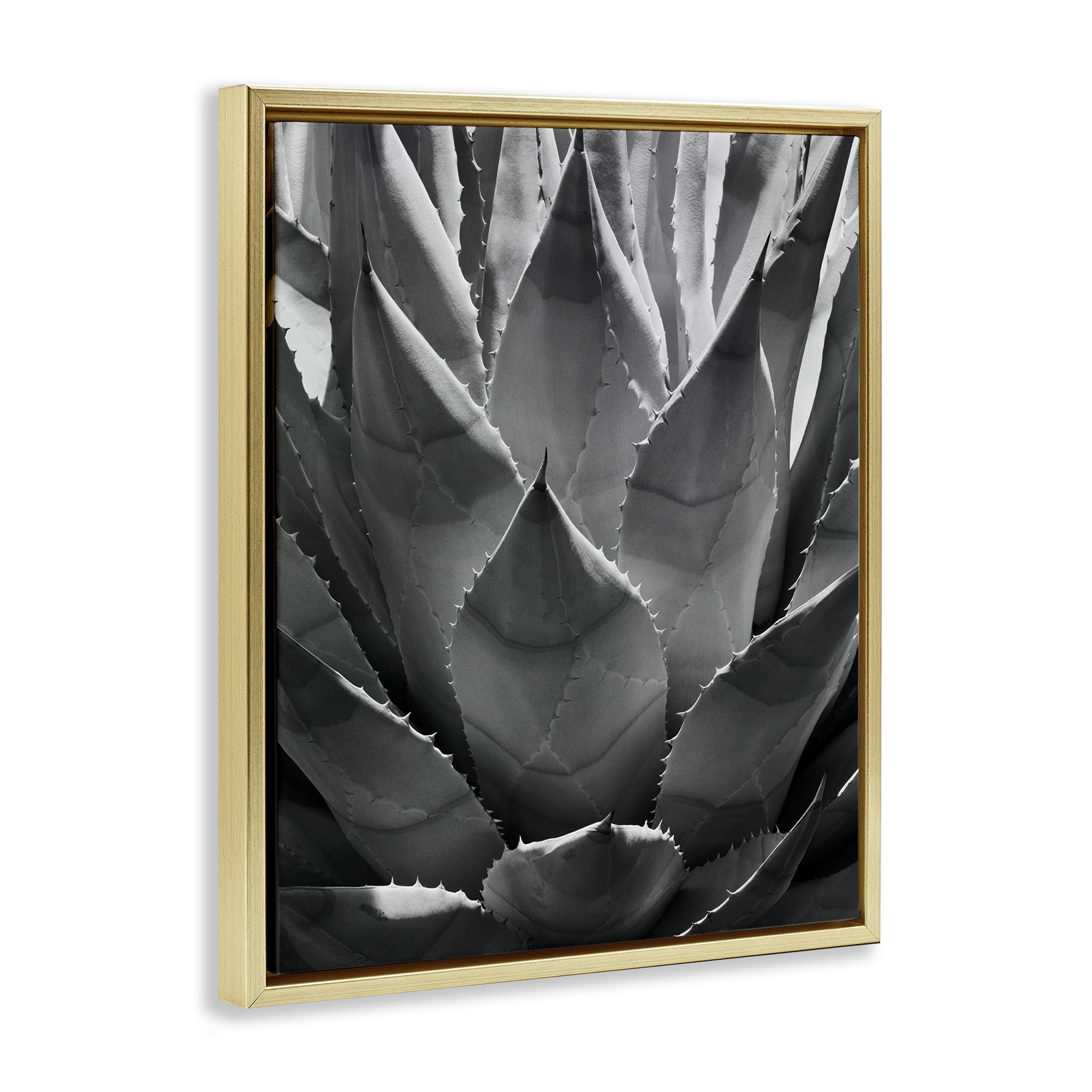 Stupell Industries Desert Plant Detail Botanical & Floral Photography Gold Floater Framed Art Print Wall Art, 25 x 31