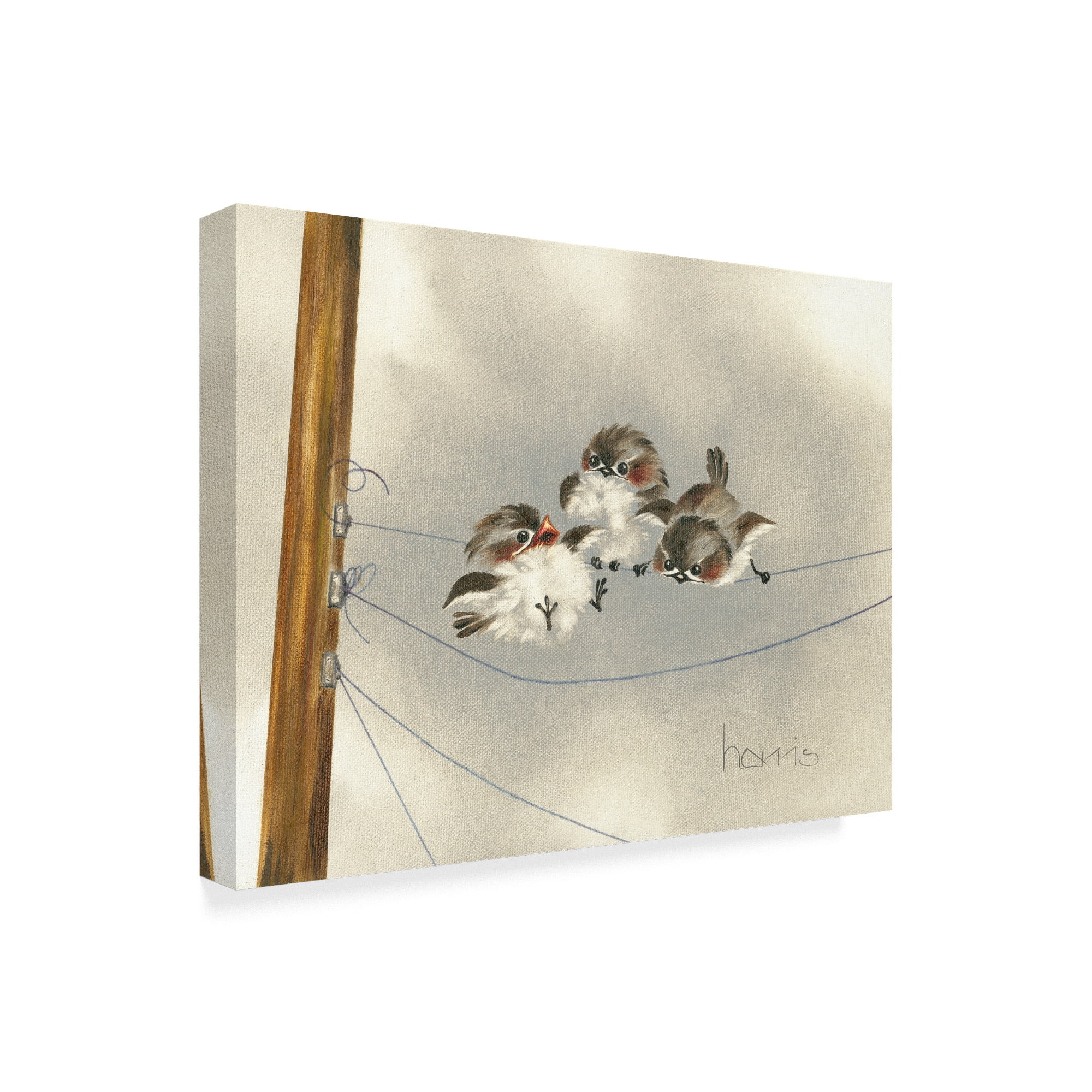 Trademark Fine Art 'One Ringy Dingy' Canvas Art by Peggy Harris
