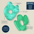 thumbnail image 5 of Itzy Ritzy Water-Filled Coordinating Cactus Water Teethers, Set of 3 Green Cacti, 5 of 8