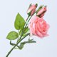 thumbnail image 1 of Brotes artificiales Rosas Flor para arreglos de centros de mesa de ramos de boda DIY UHUSE  Flores artificiales, 1 of 6