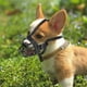 thumbnail image 1 of Bozales para la boca del perro mascota, de silicona suave, ajustables, transpirables, para perros, antiladridos, mordedura, masticar, bozal de entrenamiento oso de fresa  Hogar, 1 of 3
