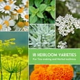 thumbnail image 4 of 18 Pack Medicinal Herb Seed Collection - Non-GMO Heirloom Full Sun Perennial & Annual, 4 of 9