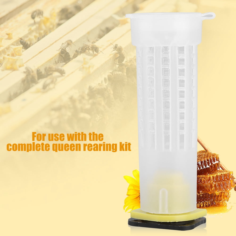 10X Beekeeping Rearing Cup Kit Bee Queen Cage Roller Beekeeper Equipment Tool BR 