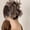 Feather Brown, variant on Large Bow Chiffon Silk Hair Clips for Women Mesh Bubble Hair Barrettes for Thick Thin Hair Elegant Claw Clips Hair Accessories (Stain Black)