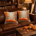thumbnail image 6 of LSLXA Fall Thanksgiving Outdoor Pillow Covers 18X18 Pumpkin Maple Leaves Decorative Pillow Case Set Of 2 Autumn Vintage Cushion Case For Couch Patio Bench, 6 of 7