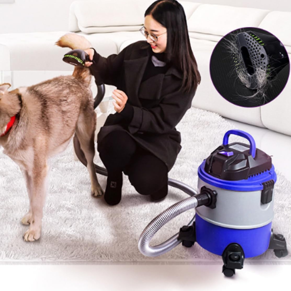 Dog hair vacuum grooming brush sale