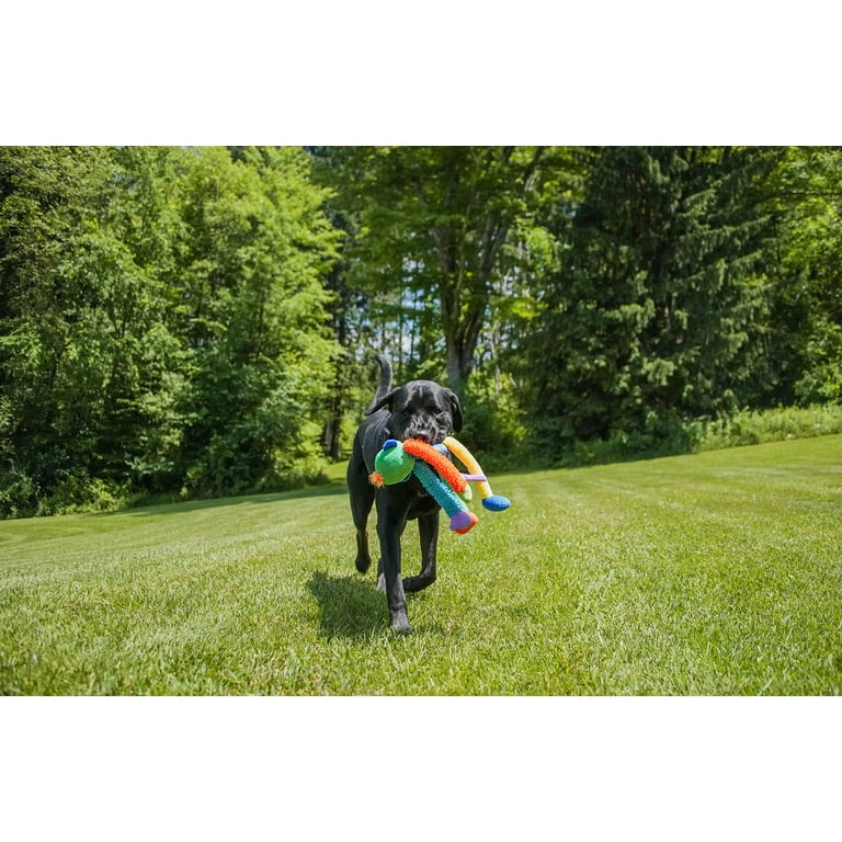 Vibrant Life Multicrew Monkey Plush Dog Toy, Six Squeakers