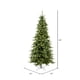 thumbnail image 3 of Árbol de Navidad Vickerman Camdon Fir 2 m 550 Luces LED, 3 of 8