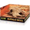 Exo Terra Exo Terra Terrarium Buffalo Skull Decoration 1 count Pack of 3