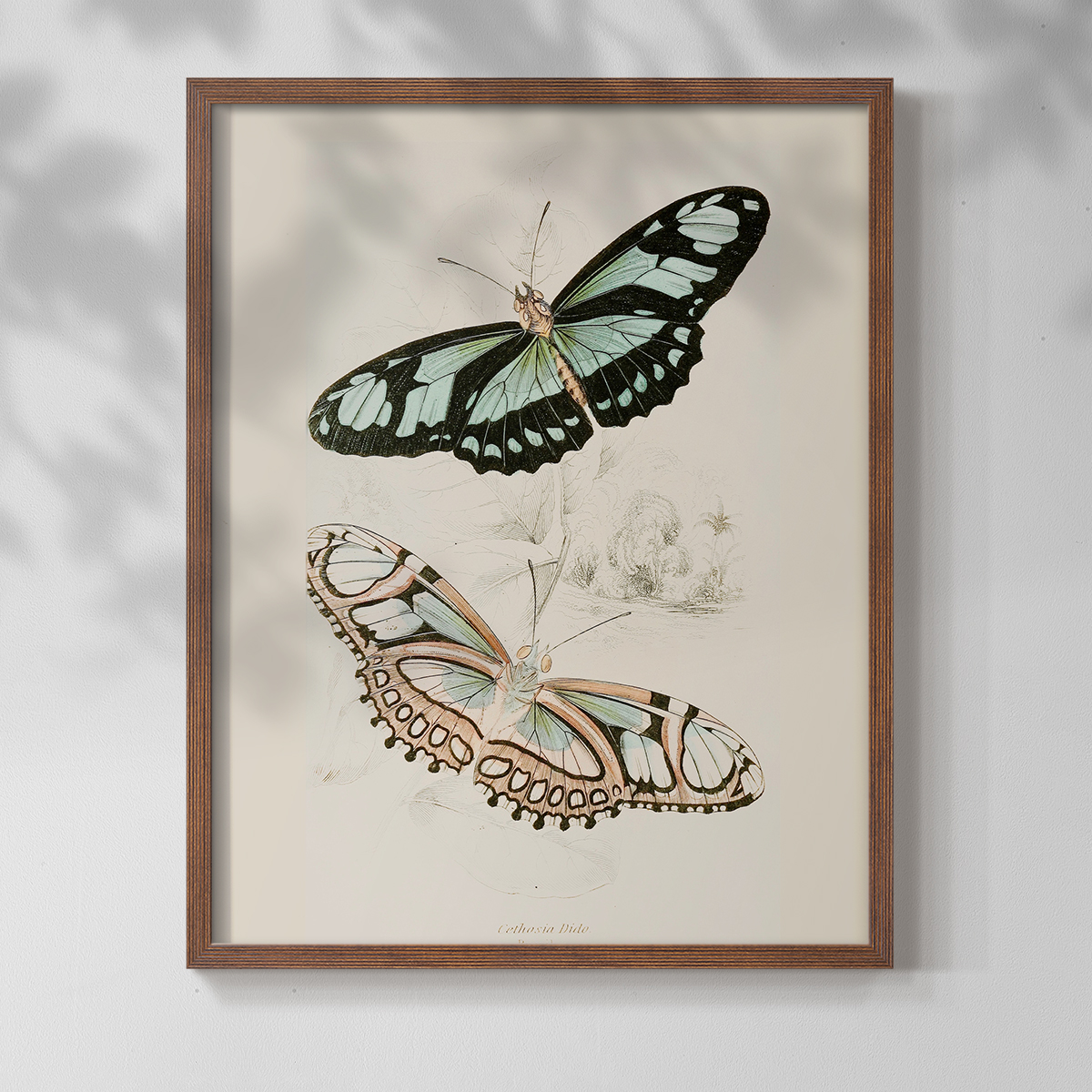 Vintage Animal Print L - 14in. x 11in. Vintage Framed Print in Walnut Wood Frame