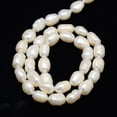 thumbnail image 4 of Natural Cultured Freshwater Pearl Beads Strands with Screw Thread Rice Creamy White 7~8mm Hole: 0.8mm about 38pcs/strand 13.77 inch~14.17 inch, 4 of 7