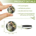 thumbnail image 2 of 12 Pcs Glass Refrigerator Magnet Magnetic Fridge Sticker,Decor for Kitchen,Whiteboard, Cabinet,Fluffy Cat With Long Fur And Striking Green Eyes, 2 of 4