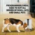 thumbnail image 4 of Distributeur de friandises pour animaux Lentek avec SmartApp, 4 of 7