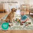 thumbnail image 4 of ODIKA 5'x7' Ultra-Soft Area Rug, Door Entry Vintage Botanical Wreath Trailing Border Vine Sprigs None Washable, Bare feet friendly, Silk-Touch for Bedroom Home office, 4 of 7