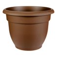 thumbnail image 1 of 20-56312CH Planteur de Couleur Chocolat Ariana, 1 of 1