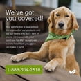 thumbnail image 2 of Earth Rated, Dog Wipes, Unscented, 100 Wipes, 2 of 6