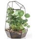 thumbnail image 4 of Terrario Geométrico shamjiam 2 Pcs Maceta Cristal Planta Transparante, 4 of 8