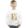 thumbnail image 2 of Harry Potter Boys Hufflepuff Glitter Sweatshirt, 2 of 5